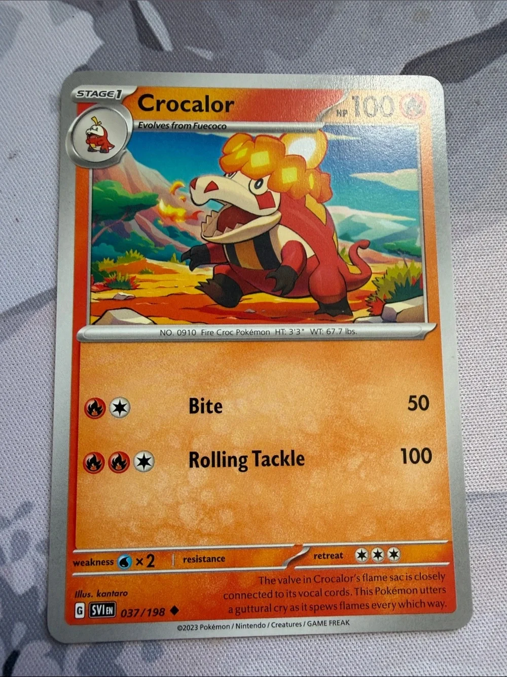Fuecoco & Crocalor Collection Lot | 6 Pokémon Cards | ✨5/$25✨